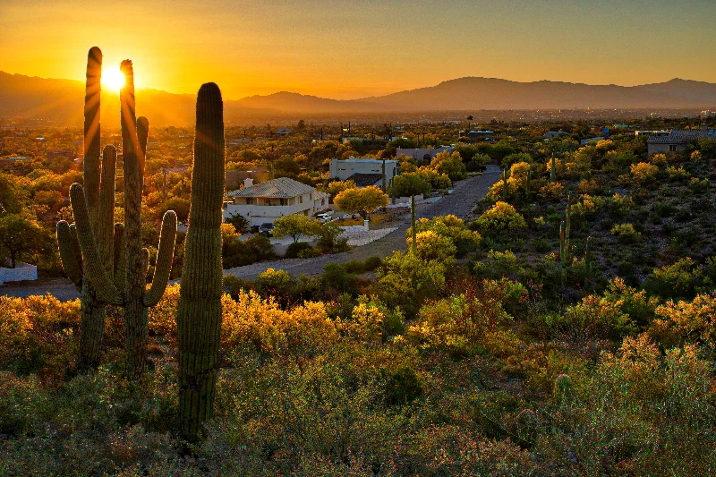 Phoenix Market Ups and Downs: When Home Price Protection Helps Most